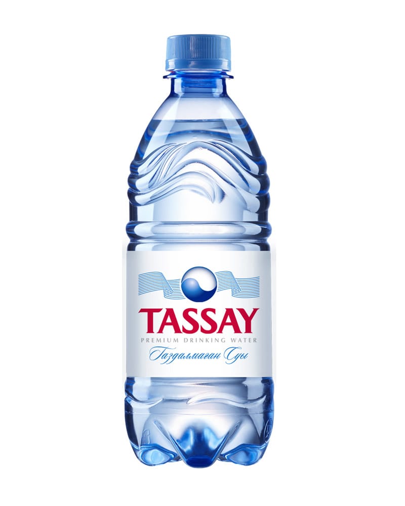 Вода б/г Tassay 0.5